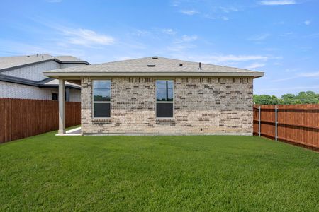 New construction Single-Family house 3695 Desperado Wy, Anna, TX 75409 plan Cottonwood - image 19