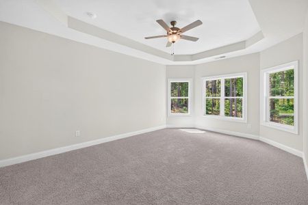 New construction Single-Family house 113 Southview Dr, Ellenwood, GA 30294 - image 15