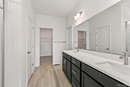 New construction Single-Family house 1805 Water Birch Way, Castle Rock, CO 80108 null- photo 21 21