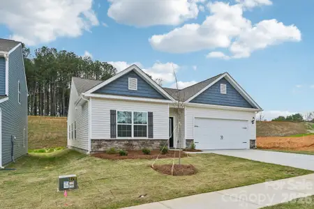 New construction Single-Family house 702 Willow Estates Dr, Shelby, NC 28150 - image