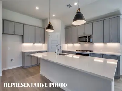 New construction Single-Family house 16525 Boston Ivy Dr, Fort Worth, TX 76247 plan 4102 - image 6