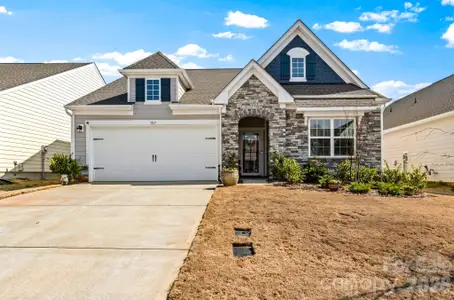 New construction Single-Family house 157 Pampas Pl, Statesville, NC 28625 plan Ashford - image