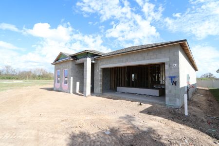 New construction Single-Family house 3164 Adams Cross Dr, Zephyrhills, FL 33540 Marque- photo 34 34