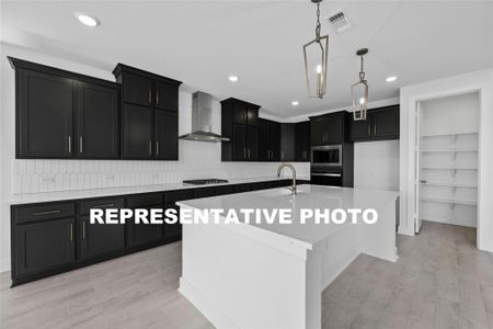 New construction Single-Family house 17616 Absinthe Dr, Austin, TX 78738 The Collins- photo 5 5