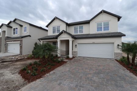 New construction Single-Family house 31236 Denham Ridge Ln, Wesley Chapel, FL 33545 Santa Monica- photo 117 117