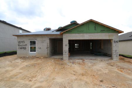 New construction Single-Family house 12193 Hilltop Farms Dr, Dade City, FL 33525 Sentinel- photo 4 4