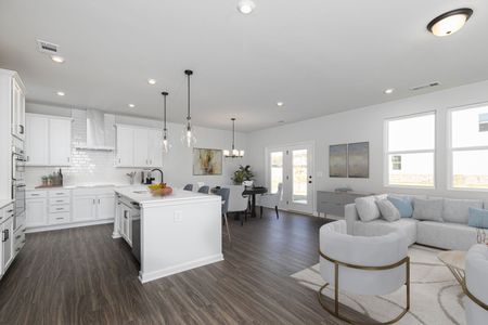 New construction Single-Family house 354 Chapin Place Wy, Chapin, SC 29036 plan Mathis - image