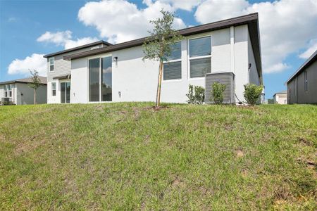 New construction Single-Family house 31647 Malbec Dr, Brooksville, FL 34602 plan Foxglove - image