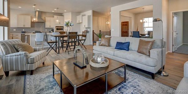 New construction Single-Family house 366 Hardstone Dr, Monument, CO 80132 - image 11