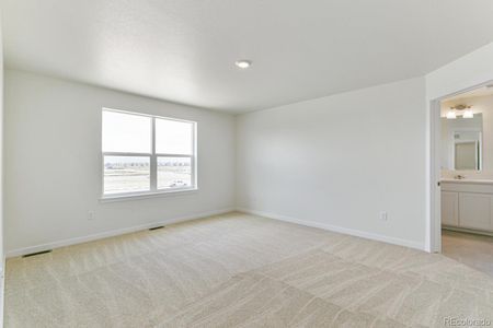 New construction Single-Family house 6509 A St, Greeley, CO 80634 Bridgeport- photo 19 19