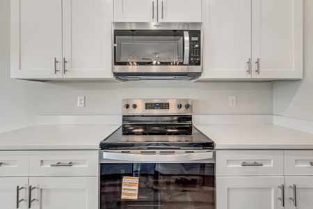 New construction Single-Family house 6111 Tansey St, Crestview, FL 32539 plan Maybell I - image 15