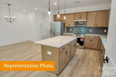 New construction Single-Family house 343 Reinhart Dr, Monroe, NC 28110 - image