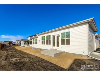 New construction Single-Family house 1829 Flourish Dr, Windsor, CO 80550 plan Plan C502 - image