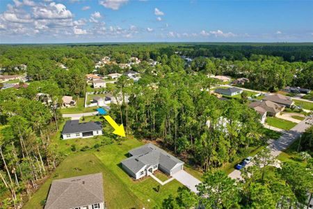 New construction Single-Family house 27 Poindexter Ln, Palm Coast, FL 32164 null- photo 79 79