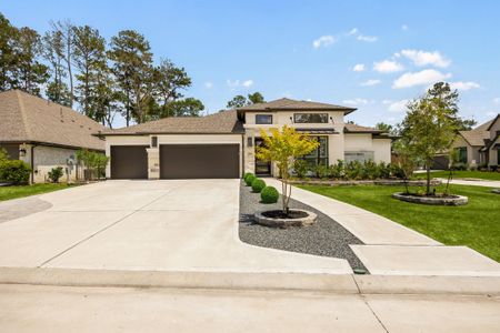 New construction Single-Family house 22041 Canyon Trail Wy, Porter, TX 77365 - image