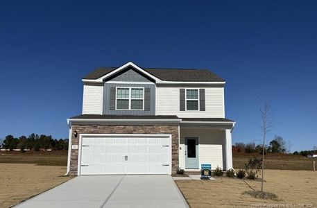 New construction Single-Family house 95 Laforce Ln, Broadway, NC 27505 - image
