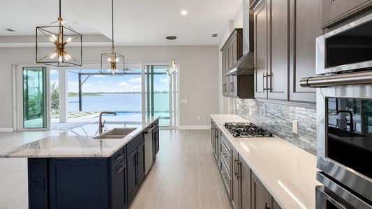 New construction Single-Family house 812 Blue Shell Lp, Sarasota, FL 34240 - image 8