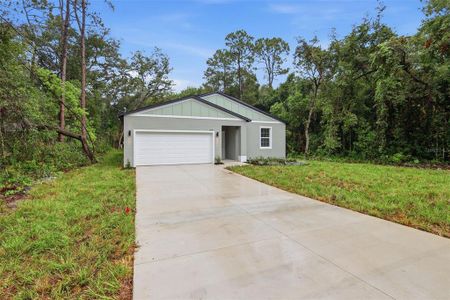 New construction Single-Family house 25115 Quaker Ridge Ave, Mount Plymouth, FL 32776 - image