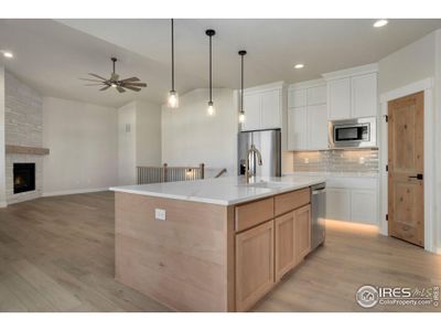 New construction Single-Family house 23845 E River Front Dr, Aurora, CO 80019 plan Sophia - image 19