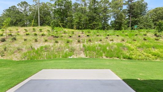 New construction Single-Family house 104 Crooked Lake Park, Villa Rica, GA 30180 plan Hayden - image