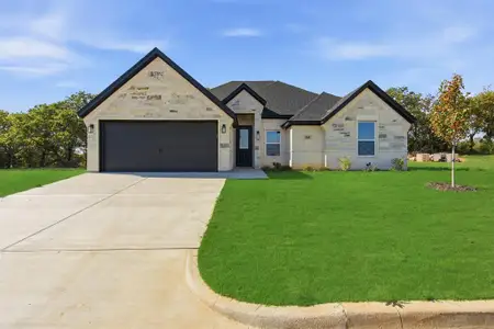 New construction Single-Family house 306 Sun Flower Ct, Tolar, TX 76476 - image