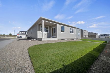 New construction Single-Family house 7969 Moose Mdws, Colorado Springs, CO 80925 plan Juniper - image