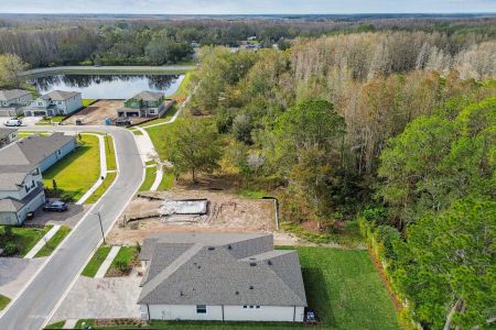 New construction Single-Family house 20219 Oriana Loop, Land O' Lakes, FL 34638 Corina  III- photo 140 140