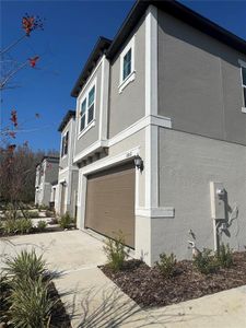 New construction Townhouse house 10812 Fanning Springs Ct, Tampa, FL 33647 null- photo 2 2