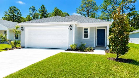 New construction Single-Family house 9 Dilly Ct, Palm Coast, FL 32164 - image