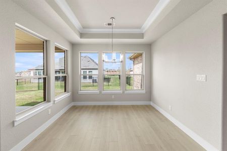 New construction Single-Family house 1908 Vittoria Ln, Little Elm, TX 75068 plan Torino - image 19