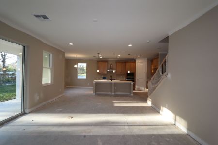 New construction Single-Family house 20125 Oriana Loop, Land O' Lakes, FL 34638 Santina II- photo 131 131