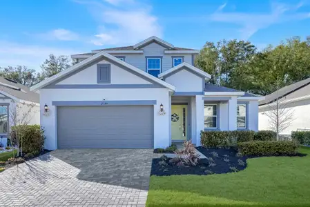 New construction Single-Family house 2385 Sirena Ln, Mount Dora, FL 32757 - image