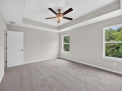New construction Single-Family house 343 Shoals Trl, Dallas, GA 30132 plan Alexander - image 16