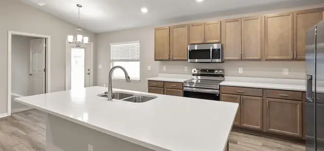 New construction Single-Family house 7675 Se 114Th St, Belleview, FL 34420 plan Begonia - image 4