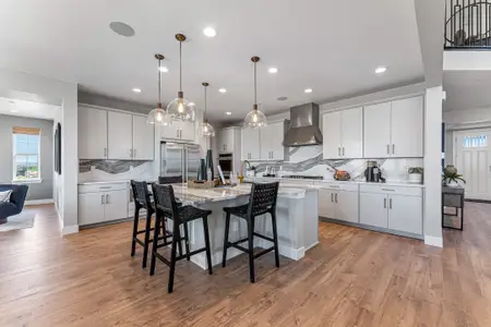 New construction Single-Family house 4153 Headlamp Ct, Castle Rock, CO 80108 plan Vail - image