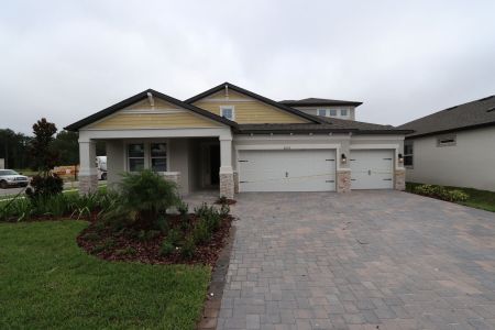 New construction Single-Family house 20112 Oriana Loop, Land O' Lakes, FL 34638 Corina  III Bonus- photo 33 33