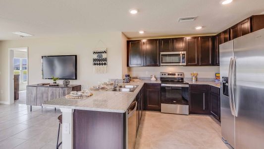 New construction Single-Family house 3831 Turning Tides Ter, Bradenton, FL 34208 null- photo 10 10