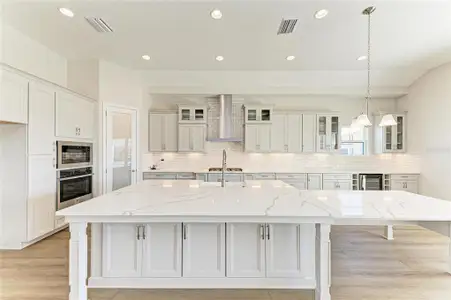 New construction Single-Family house 35576 Big Hawk Dr, Zephyrhills, FL 33541 plan Biscayne II - image 4