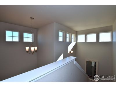 New construction Single-Family house 2425 Ivywood Ln, Johnstown, CO 80534 - image 19