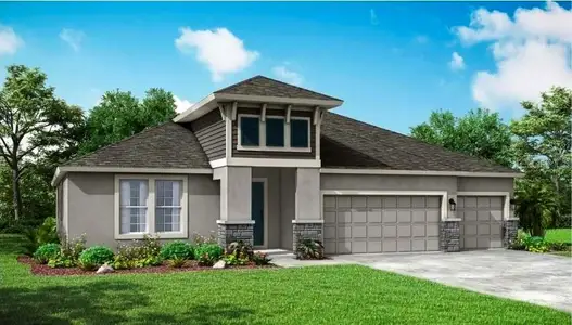 New construction Single-Family house 12305 White Blossom Ct, Parrish, FL 34219 plan Sapphire - image