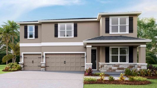 New construction Single-Family house Zephyrhills, FL 33541 - image