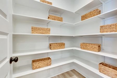 Paige plan, pantry