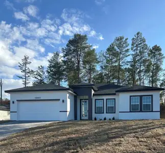 New construction Single-Family house 15001 Sw 46Th Cir, Ocala, FL 34473 - image