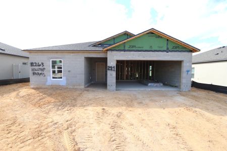 New construction Single-Family house 12263 Hilltop Farms Dr, Dade City, FL 33525 Sentinel- photo 41 41