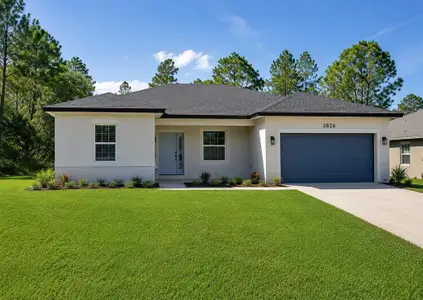 New construction Single-Family house 3826 W Lon Ln, Dunnellon, FL 34433 - image