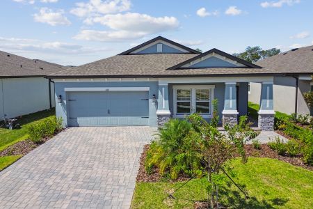 New construction Single-Family house 608 Hillshire Pl, Spring Hill, FL 34609 plan Picasso - image