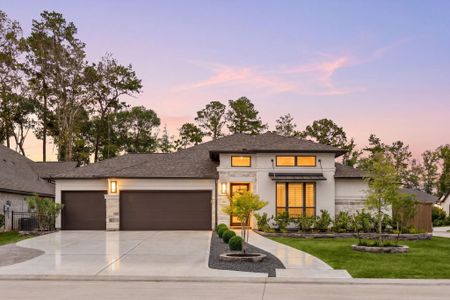 New construction Single-Family house 22041 Canyon Trail Wy, Porter, TX 77365 - image