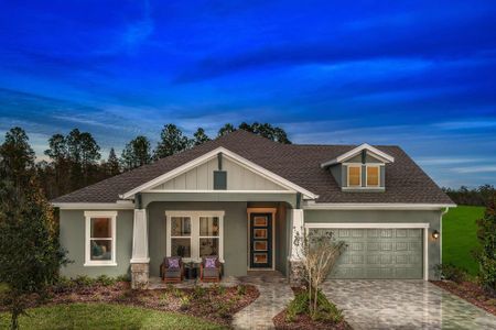 Waterset Cottage Series by David Weekley Homes in Apollo Beach - photo 32 32