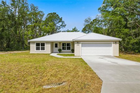 New construction Single-Family house 124 Guava Ter, Ocklawaha, FL 32179 - image