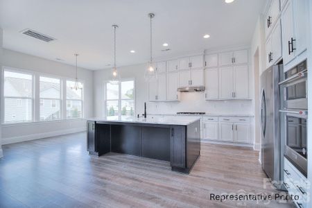 New construction Single-Family house 277 Triple Ponds Ct, Clover, SC 29710 - image 9